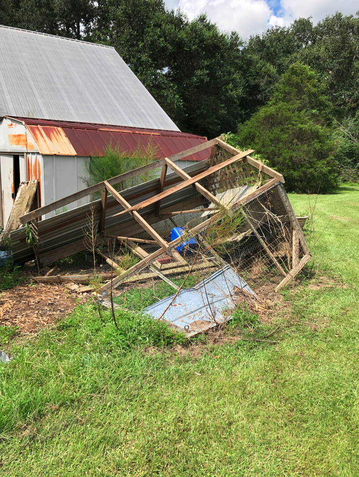 Chicken coupe removal madisonville la